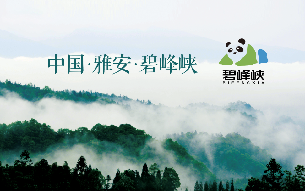 Saba体育 - 您的专属电较量事主场
